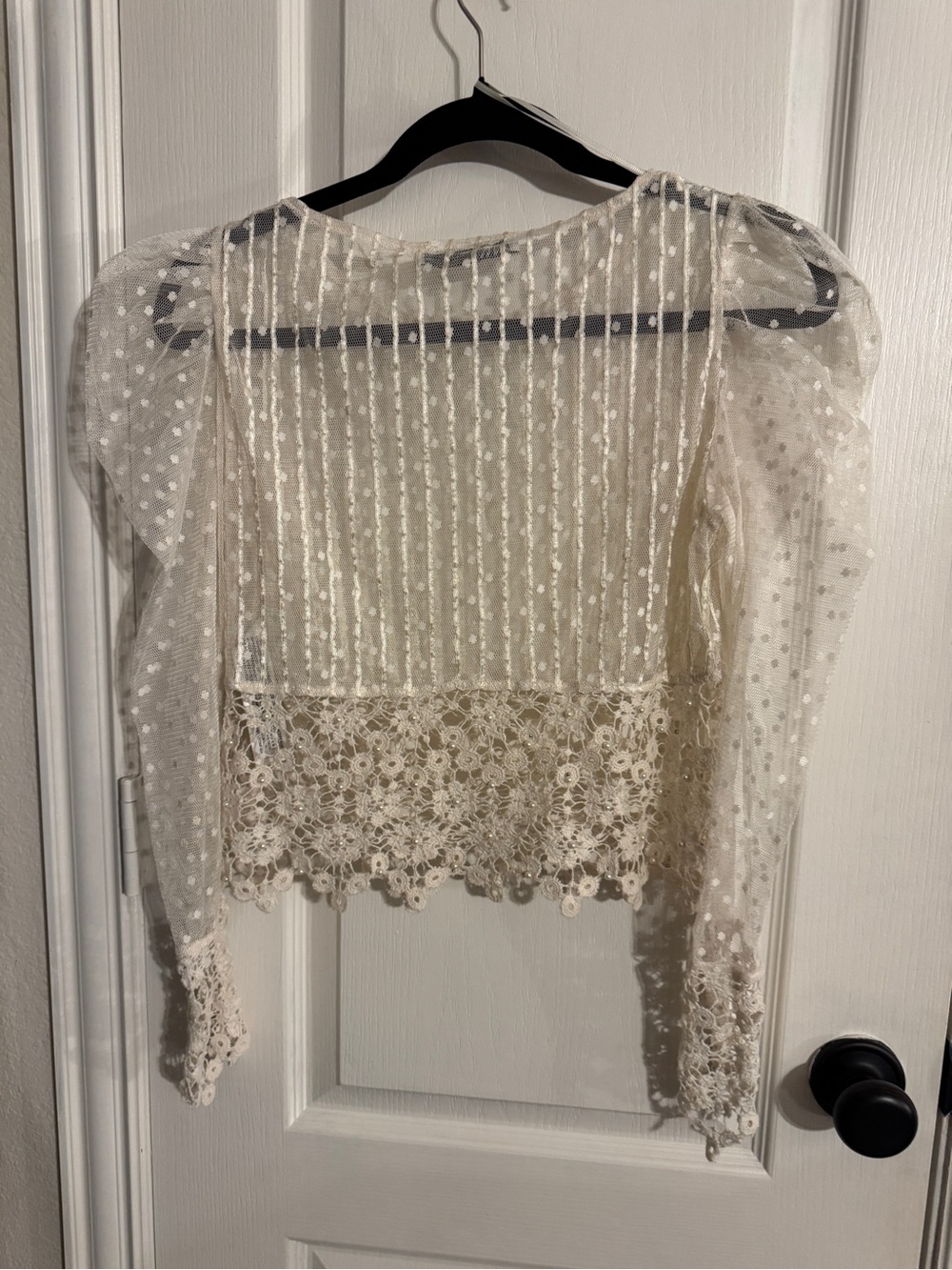 Zara Ivory Dotted Mesh Lace-Trim Long Sleeve Blouse - Picture 4 of 7